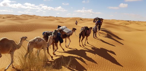 Faites la Tunisie en voyage découverte et ressentez l'adrénaline.